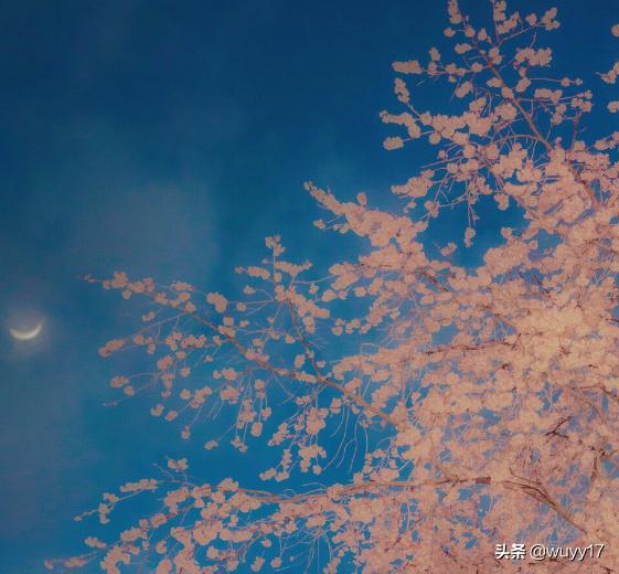 良辰美景奈何天【良辰美景奈何天的意思】